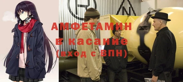 шишки Краснослободск