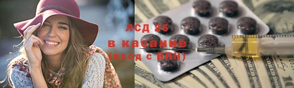 индика Красноперекопск