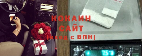 индика Красноперекопск