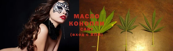шишки Краснослободск