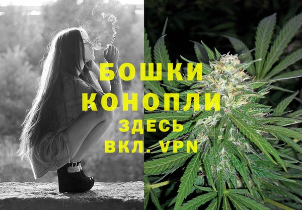 шишки Краснослободск