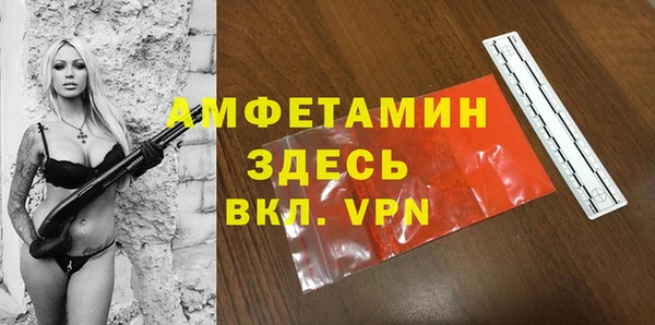 шишки Краснослободск