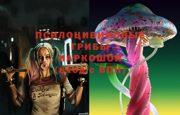 шишки Краснослободск