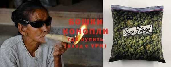 индика Красноперекопск