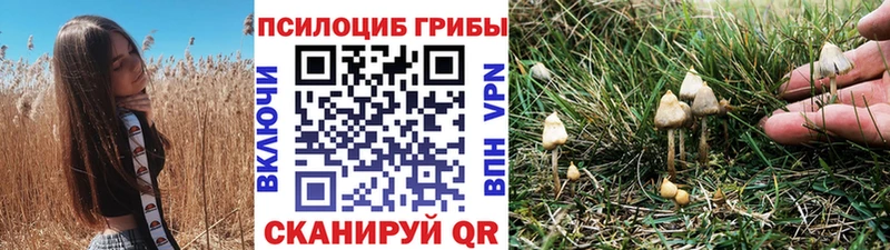 Галлюциногенные грибы ЛСД  Купить закладки  Великие Луки 